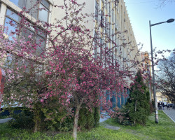 Саопштење за јавност
