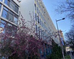 Донета и јавно објављена пресуда у кривичном поступку против окривљених Ивана Контића, Огњена Леђанца и Луке Вукајловића