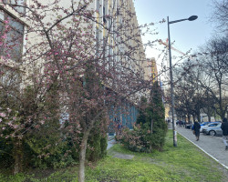 Донета и јавно објављена пресуда у кривичном поступку против окривљеног Мирка Миловца