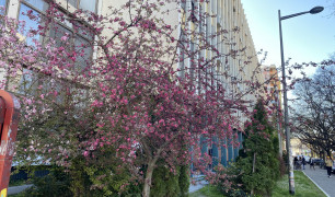 Делимично преиначена пресуда у парничном поступку тужилаца Б.Р. и др. против тужених Акционарског друштва за управљање јавном железничком инфраструктуром „Инфраструктура железнице Србије” Београд и Републике Србије ради накнаде штете