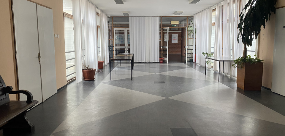 Донета одлука за убиство мајке у Мичуриновој улици